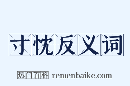 寸忱反义词是什么意思的图片
